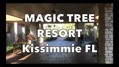 The Enchanting Aroma of Kissimmee's Magic Trees